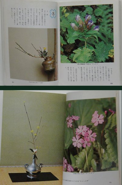 画像2: カラーブックス 茶席の花