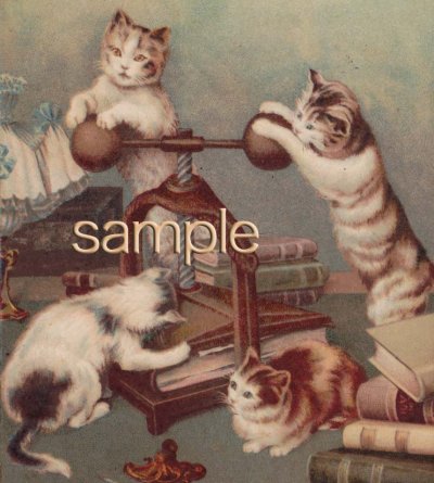 画像1: フランスアンティークpostcard＊せっせと製本に精を出すネコたち