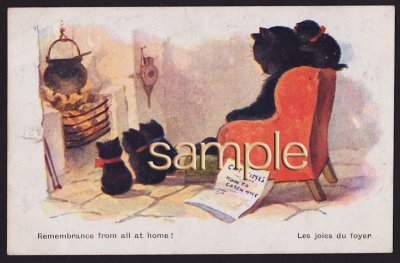 画像1: 英国Antique postcard*Louis Wain*暖炉の前でこっくり....