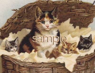 画像1: Antiqueポストカード*ヘレナ・マグワイヤー*三毛ママと子猫たち