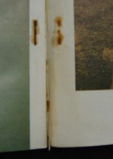 画像2: 装苑1969 3月号付録 体型に合わせたスーツ (2)
