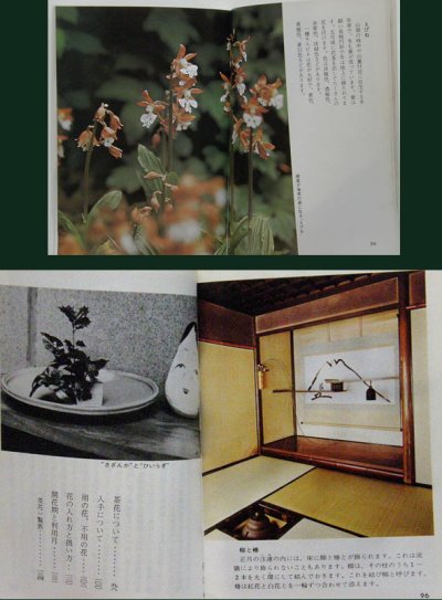 画像3: カラーブックス 茶席の花