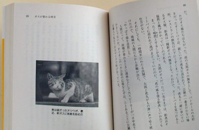 画像2: 公園通りの猫たち （講談社文庫）