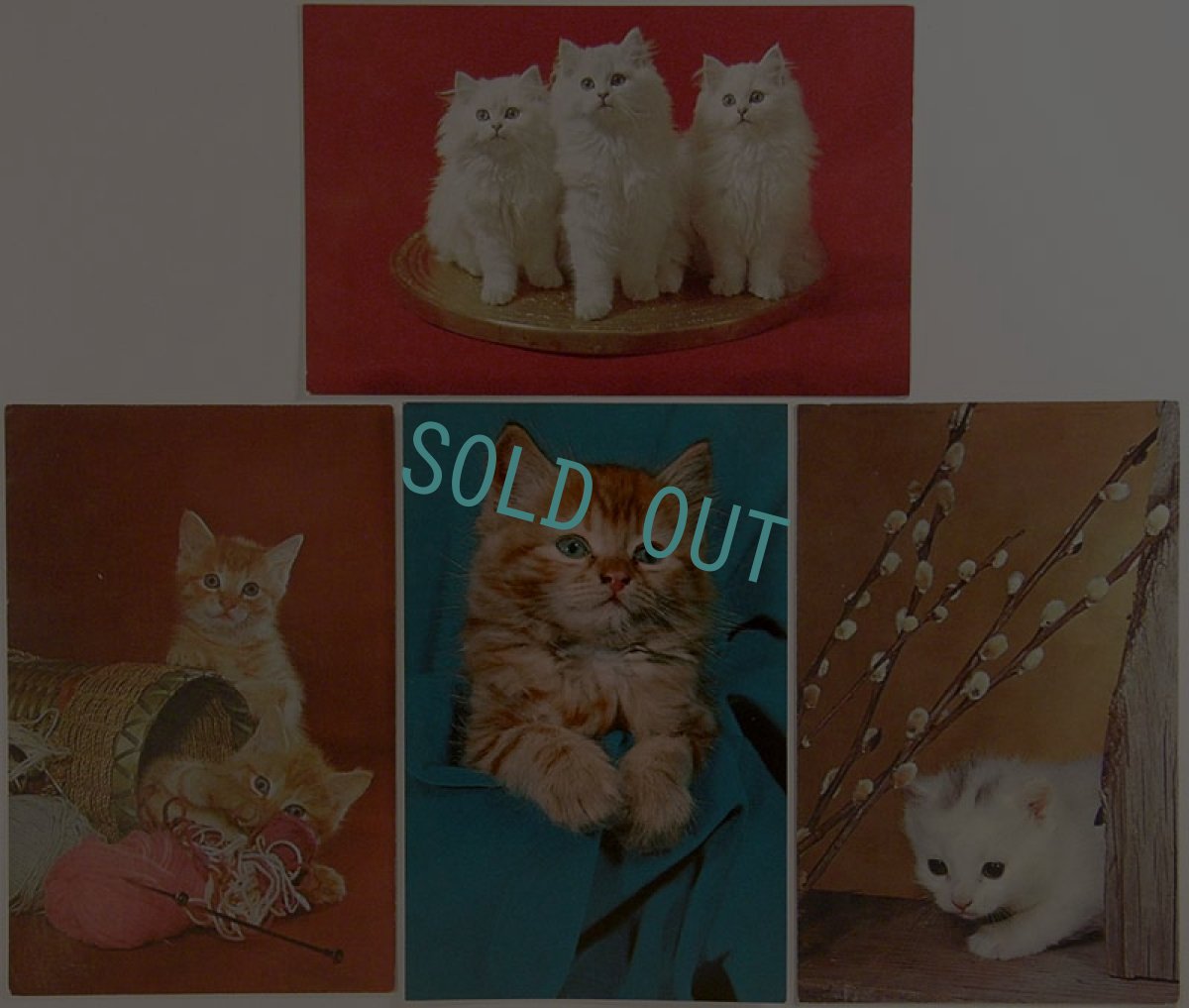 画像1: 60'&70'kitten'sポストカード4枚4種set15 (1)