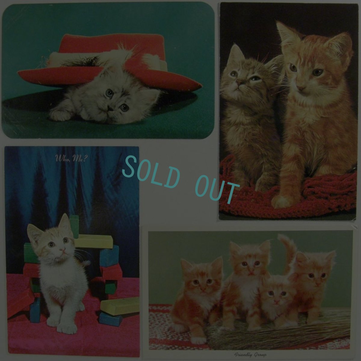 画像1: 60'&70'kitten'sポストカード4枚4種set8 (1)