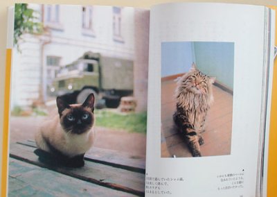 画像3: 旅猫?MEET THE CATS AROUND THE WORLD（講談社文庫）