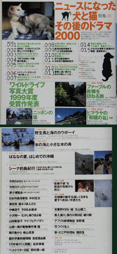 画像3: SINRA シンラ No.74 2000年2月号