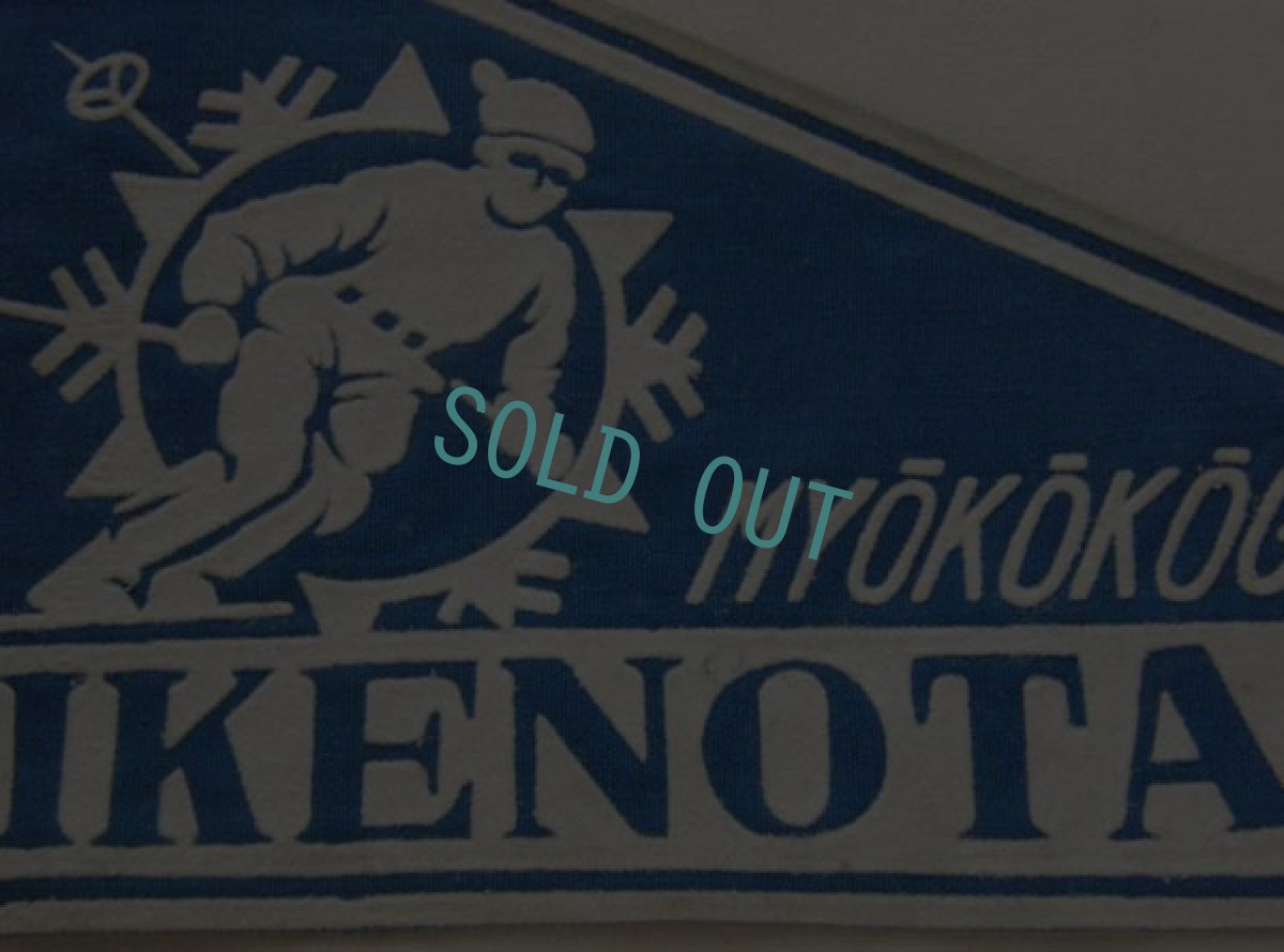画像1: 観光のお土産 レトロ ペナント MYOKO KOGEN IKENOTAIRA フェルト (1)