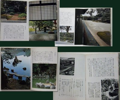 画像2: カラーブックス 新訂 京の名庭