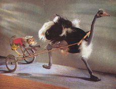 画像1: ロシアvintage card,ぬいぐるみアニメ風＊ダチョウさん、二輪車に乗ったお猿さんをせっせと運ぶ (1)