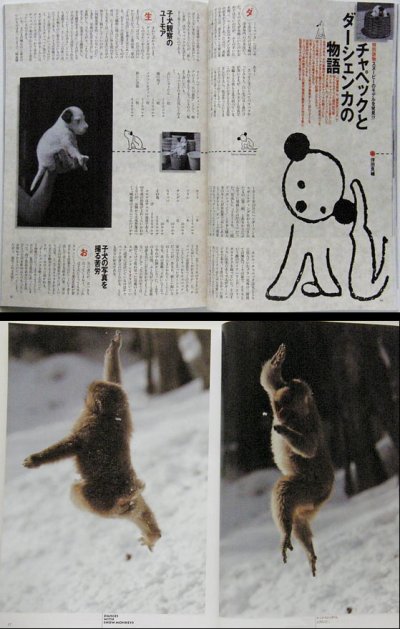 画像2: SINRA シンラ No.25 1996年1月号
