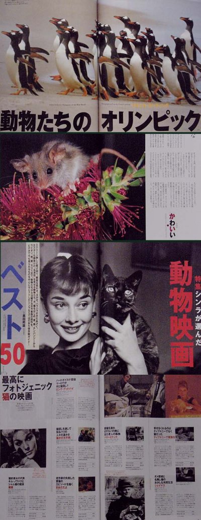 画像3: SINRA シンラ No.48 1997年12月号