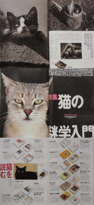 画像2: SINRA シンラ No.41 1997年5月号