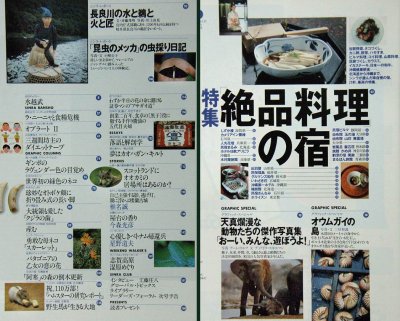 画像3: SINRA シンラ No.31 1996年7月号
