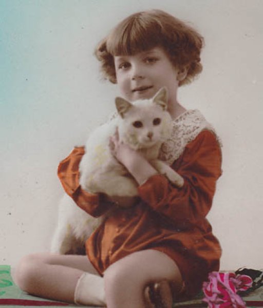 フランスアンティークポストカード 白い猫を抱いた少女 pari