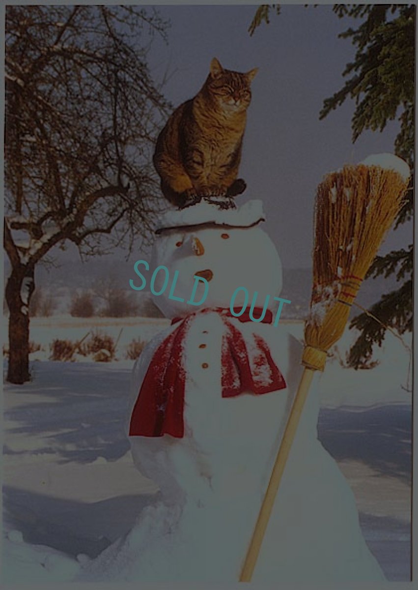 画像1: ネコと雪だるまのpostcard (1)