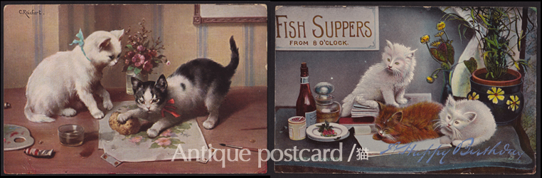 アンティークポストカード，猫ねこ絵葉書