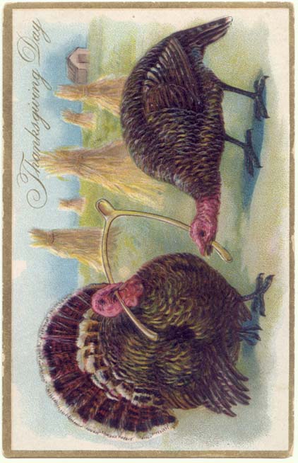 画像1: 2羽の七面鳥 感謝祭 グリーティングカード (1)
